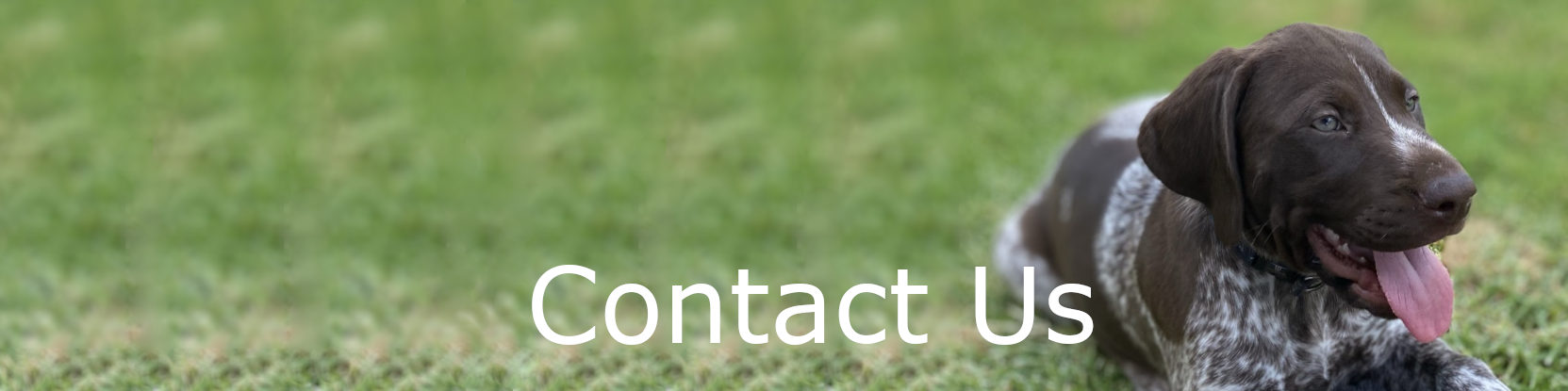 Contact Us Banner